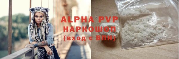 прущие грибы Абаза