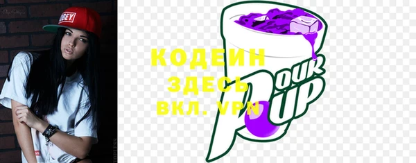 прущие грибы Абаза