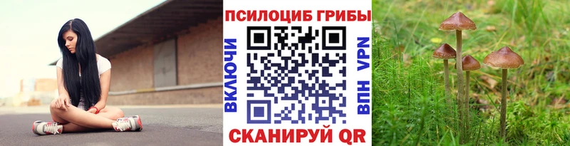 купить наркотик  Королёв  Галлюциногенные грибы Psilocybine cubensis 
