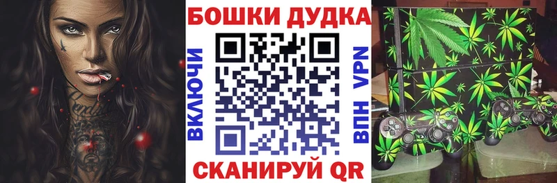 закладка  Королёв  Канабис план 